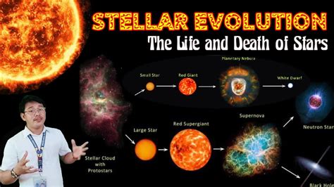 STELLAR EVOLUTION | The Life and Death of Stars | #EvolutionOfStars # ...