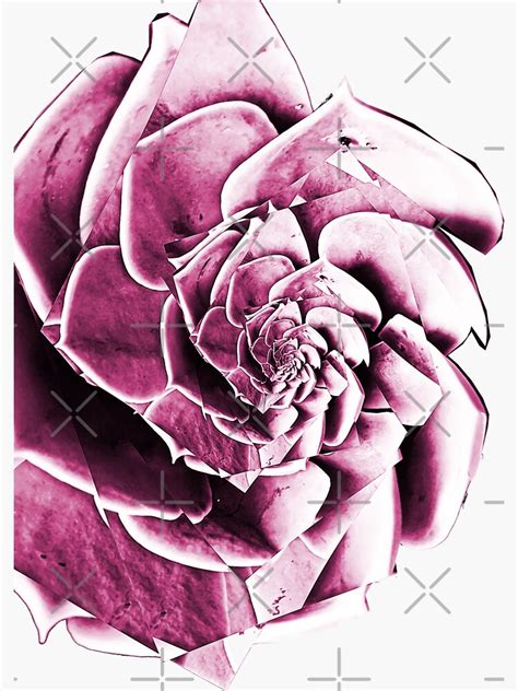 "Fibonacci Rose" Sticker by painterfrank | Redbubble