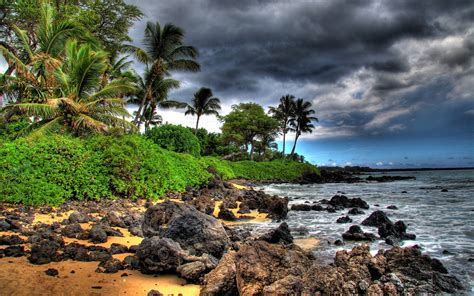 🔥 [40+] Maui Screen Wallpapers | WallpaperSafari