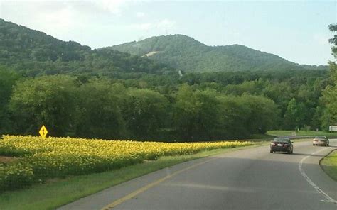 Macon County, NC | Macon county, Nc mountains, Country roads