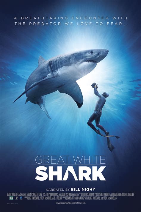 Great White Shark Pictures - Rotten Tomatoes