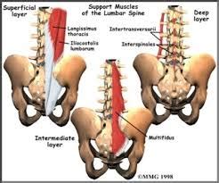 Lumbar Sprains - Lower Back Pain Treatment | 5280 Cryo & Recovery Clinic