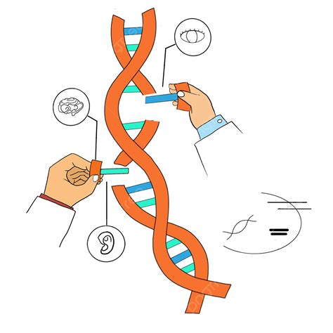 Genes Clipart Vector, Research On Gene Editing Technology, Gene Editing, Technical Study ...