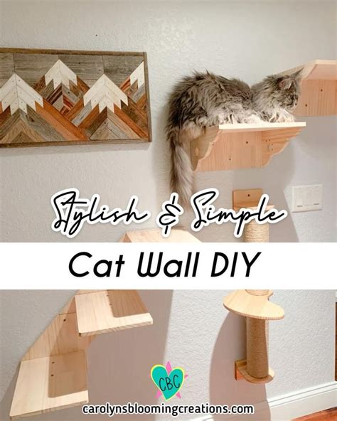 Cat Climbing Wall DIY [Video] | Cat room, Cat room diy, Cat climbing wall