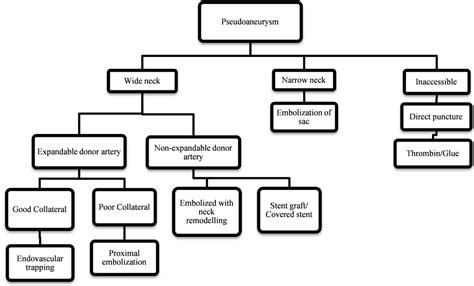 Endovascular and Percutaneous Management of the Pseudoaneurysms