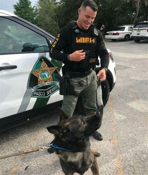 K9 Shep & Deputy Pini | Military working dogs, Police dogs, Working dogs