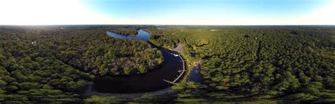 Pocomoke River State Park Shad Landing Area - Just Walk WorcesterJust ...