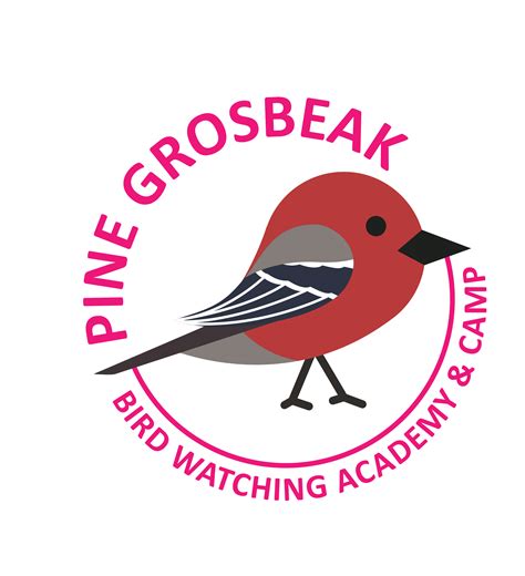 Pine Grosbeak - Bird Watching Academy