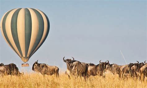 Hot Air Balloon Safari in Masai Mara National Park | Kenya Safari Tours