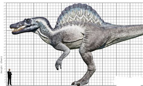 My Spinosaurus size comparison by EthanThomas2022 on DeviantArt