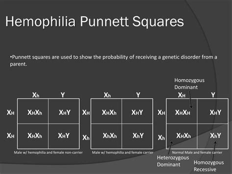 Hemophilia Punnett Square