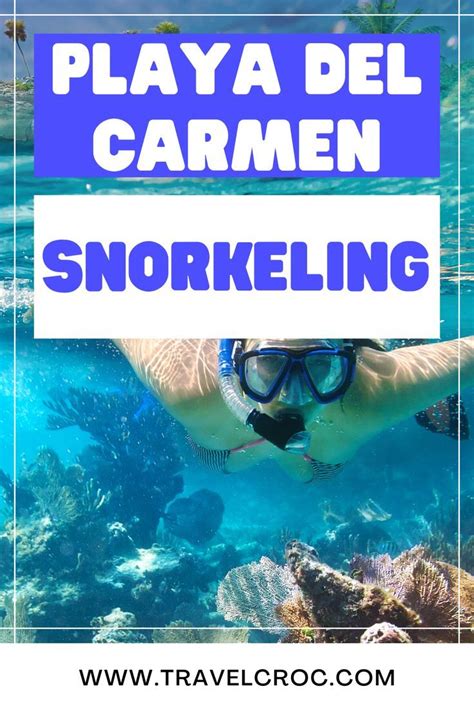 Playa Del Carmen Snorkeling Complete Guide | Explore Mexico | Playa del ...