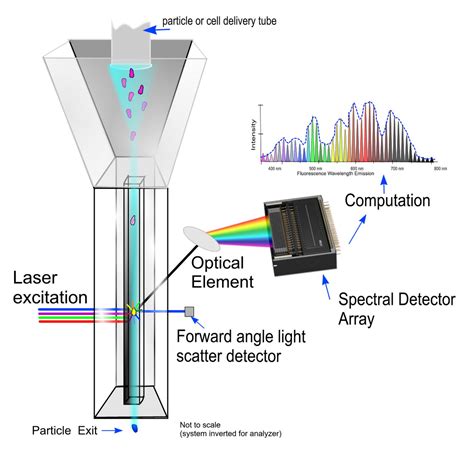 Flow Cytometry Rides Successive Waves of Innovation