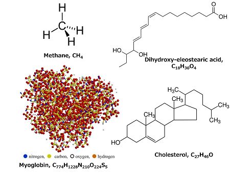 Organic Molecules | Functional Groups & Examples - Video & Lesson ...