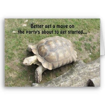 Funny Turtle Birthday Card | Zazzle | Turtles funny, Turtle birthday, Turtle