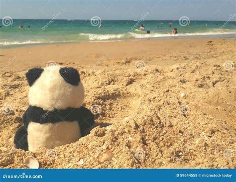 Panda on the beach stock photo. Image of watching, people - 59644558