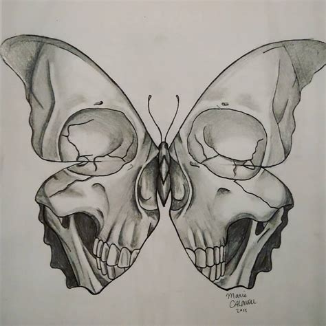 Skull Butterfly Drawing at GetDrawings | Free download