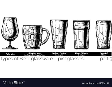 Beer glassware Royalty Free Vector Image - VectorStock