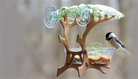 Window Feeders - Wild Birds Unlimited | Wild Birds Unlimited