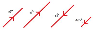 Multiplication Of Vectors by a Scalar Quantity with examples