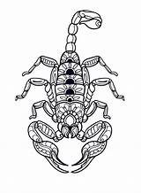 Scorpions Coloring Pages  Free Printable PDF & Online sketch template