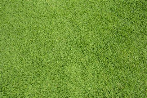 Grass Background For Photoshop - IMAGESEE