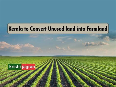 Kerala Agriculture Department to Convert Uncultivated Land into Vegetable farms