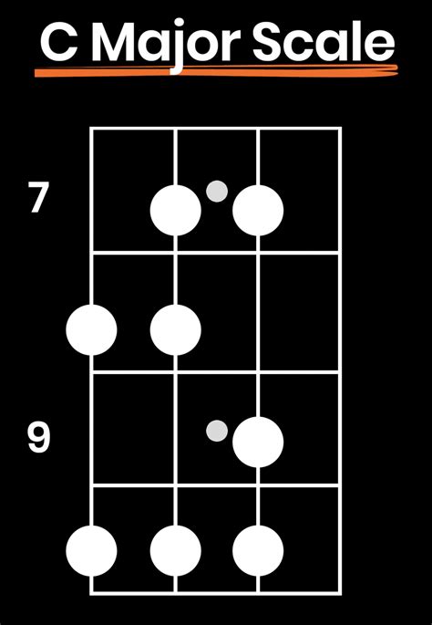 How to Learn Bass Scales (Become a Better Bassist, Not a Robot) - BassBuzz Forum