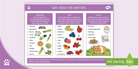 Safe Foods for Hamsters - List - Hamster Diet - Twinkl Pets