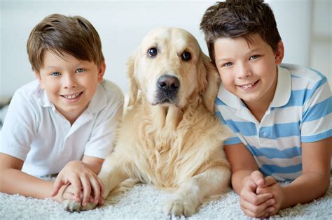 Low Maintenance Pets For Child Low Maintenance Pets For Kids Are A Great Place To Start If You ...