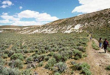 Diatomite Fossil Beds