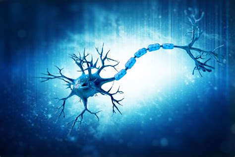 Motor Neuron Death in SMA Linked to Abnormal RNA Editing, Study Says