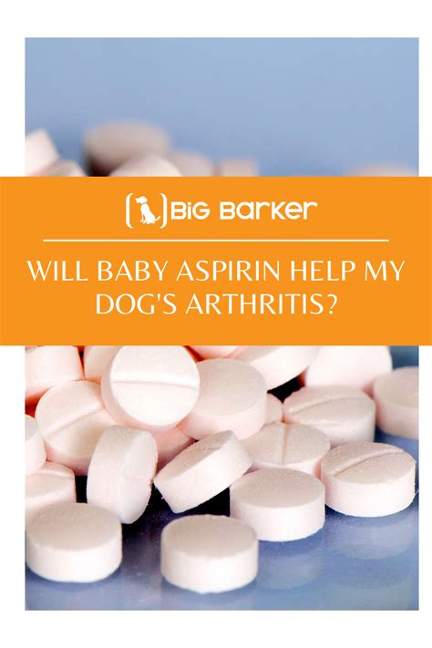 Will Baby Aspirin Help my Dog's Arthritis? in 2021 | Dog arthritis, Canine arthritis, Arthritis