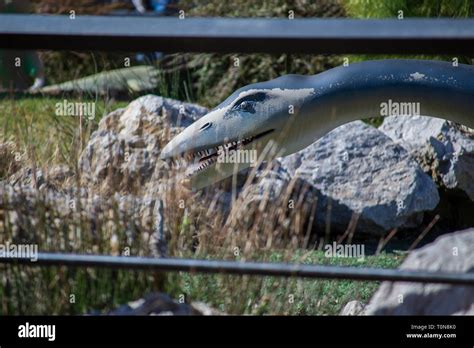 Statue of dinosaur in dino park Dinosville in Svilajnac, Serbia, Europe Stock Photo - Alamy