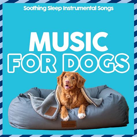 ‎Music For Dogs - Soothing Sleep Instrumental Songs by Dog Music, Dog ...