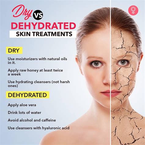 Dry Vs Dehydrated Skin : r/HomeBeautyTips