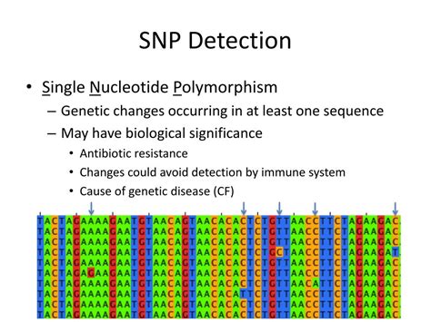 PPT - Theory and Application of Multiple Sequence Alignments PowerPoint Presentation - ID:3572171