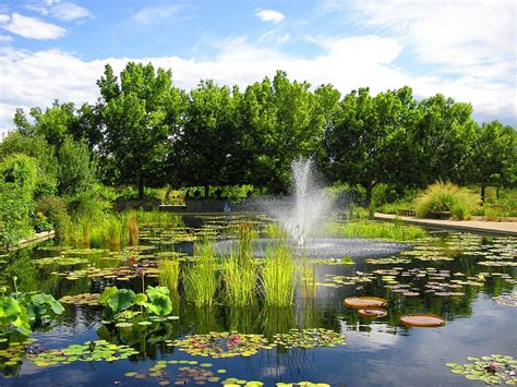 Denver Botanic Gardens - Cameroon Limbe Botanical Garden (#2030249) - HD Wallpaper & Backgrounds ...