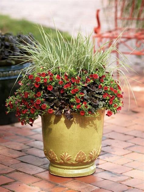 40 Best Ornamental Grasses For Containers (39) | Ornamental grasses ...