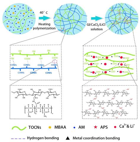 Gels | Free Full-Text | Dual Network Hydrogel with High Mechanical Properties, Electrical ...