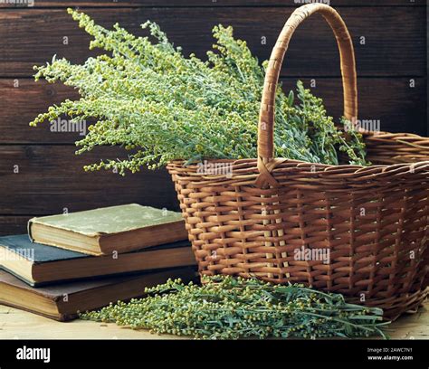 Infusion of plant material hi-res stock photography and images - Alamy