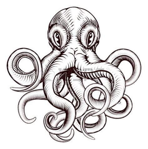 Realistic Octopus Drawing | Free download on ClipArtMag