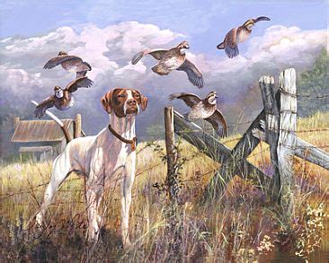 Bird dog - Painting Art by Taylor White