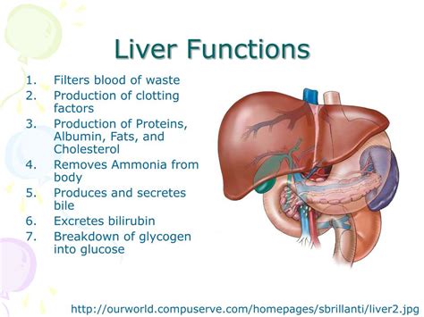 PPT - Nursing Care of the Pediatric Patient with Liver Disease and Transplant PowerPoint ...