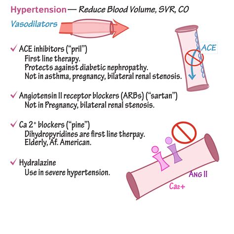 Cardiovascular System Glossary: Cardiovascular Pharmacology - Drug ...