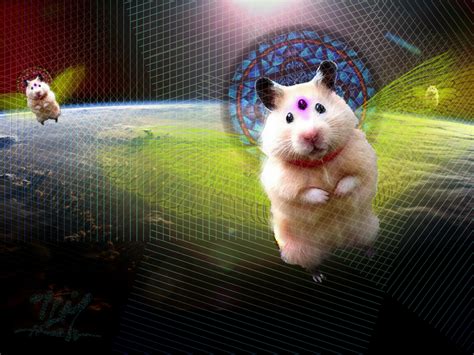 Psychadelic Angelic Miniature Giant Space Hamsters by Epic-Elite on ...