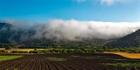 Organic Fertilizer Benefits: How Organics Can Save Money and Increase ...