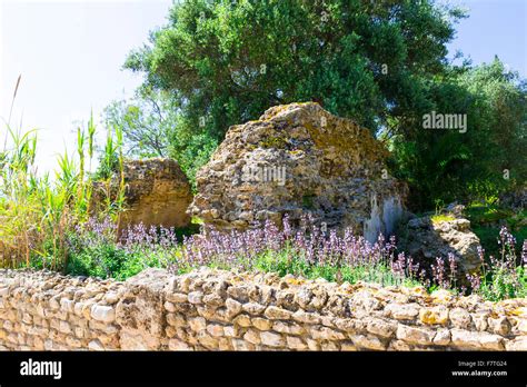 Old Carthage ruins in Tunisia Stock Photo - Alamy