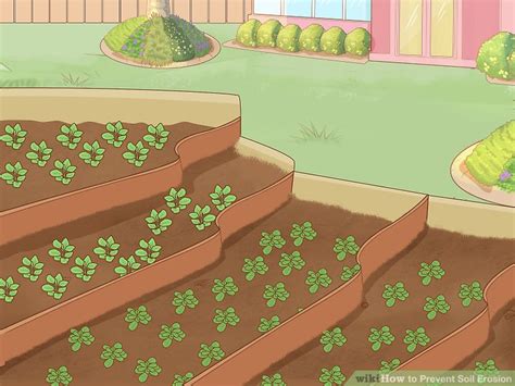 How to Prevent Soil Erosion: 15 Steps (with Pictures) - wikiHow