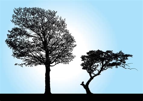 Tree Silhouette Vectors Vector Art & Graphics | freevector.com